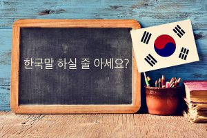 Penerjemah Tersumpah Bahasa Korea